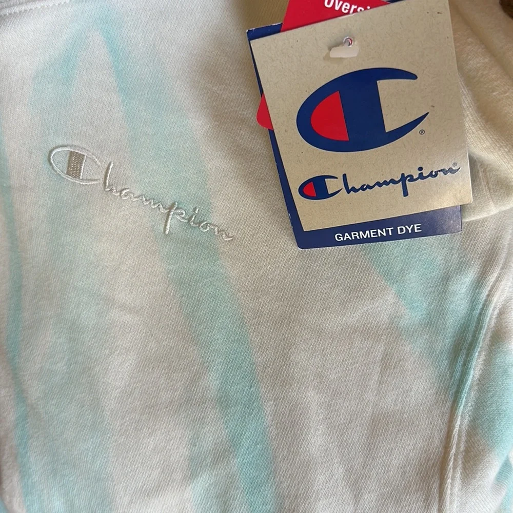 CHAMPION Feather Dye Lightweight Fleece Womens Hoodie M NEW - Picture 3 of 7